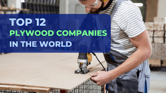 Top Plywood Manufacturing Companies Worldwide